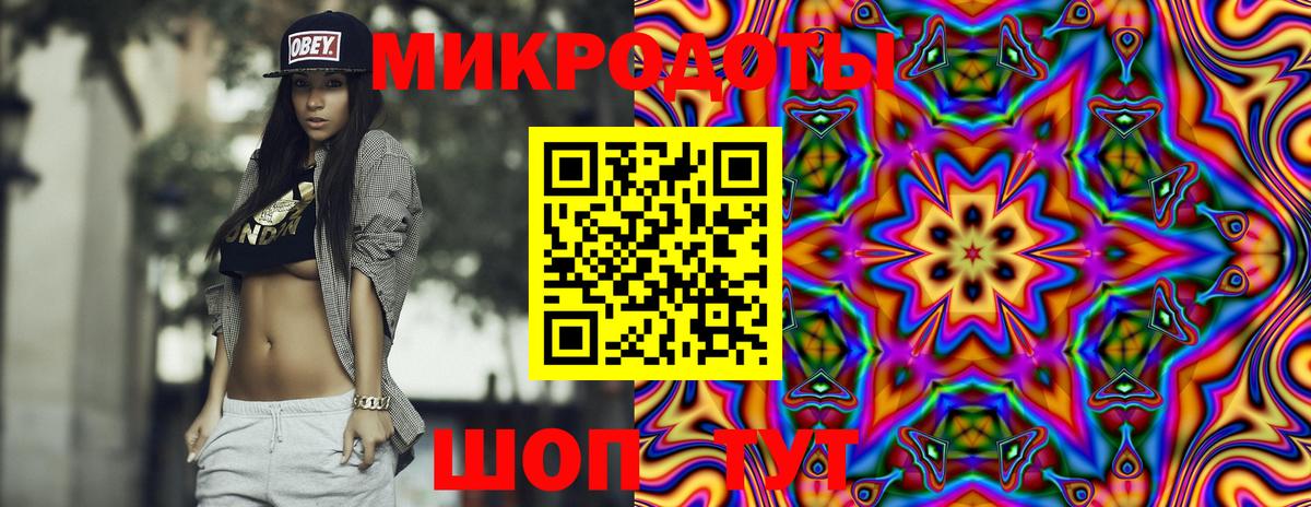 Галлюциногенные грибы Cubensis Малгобек