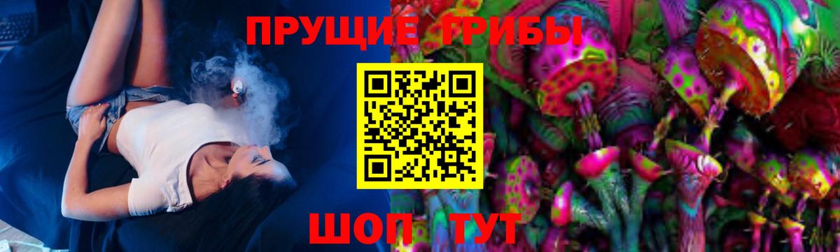 Малгобек  Псилоцибиновые грибы мицелий  Вход с VPN  Галлюциногенные грибы Cubensis 